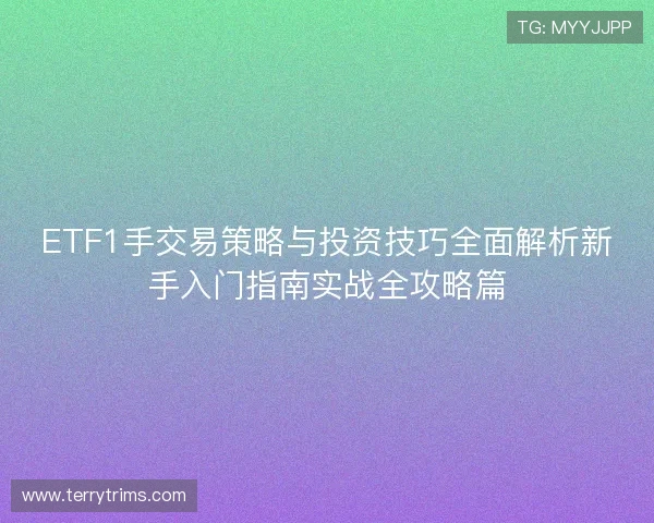 ETF1手交易策略与投资技巧全面解析新手入门指南实战全攻略篇